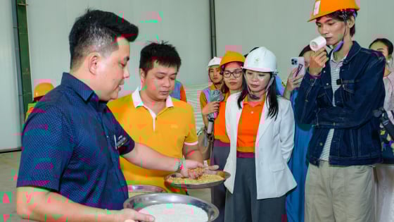 Sống xanh, tiêu dùng bền vững