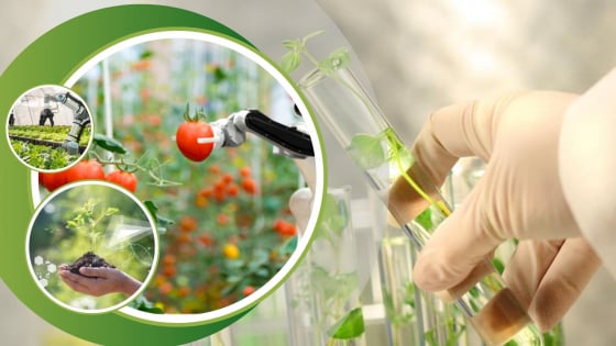 Toàn ngành Nông nghiệp và Môi trường đang tăng trưởng tích cực