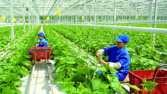 ‘Đại hội khoa học công nghệ đầu tiên’ của Bộ Nông nghiệp và Môi trường