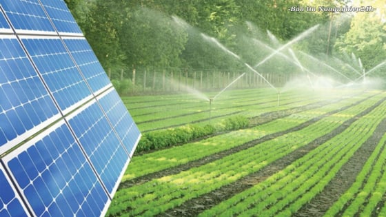 Xây dựng kim chỉ nam hành động cho ngành Nông nghiệp và Môi trường