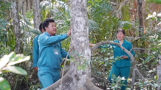 Cần Giờ ứng dụng công nghệ số trong tuần tra, quản lý rừng ngập mặn