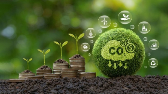 Kinh nghiệm quốc tế kết nối tài chính xanh với thị trường carbon