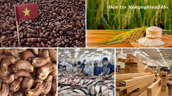 Thúc đẩy niềm tin chuỗi cung ứng nông lâm thủy sản Việt Nam – Hoa Kỳ