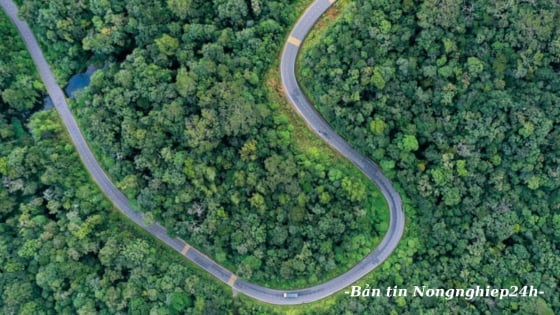 Đà bật mạnh cho Nông nghiệp và Môi trường từ những con số đầu năm