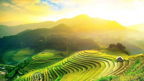 Thời tiết nông vụ ngày 6/6/2025: Miền Bắc nắng ráo, miền Nam mưa rào