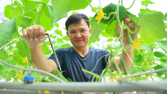Tây Ninh: Từ xứ nắng đến ‘vườn ươm’ nông nghiệp công nghệ cao