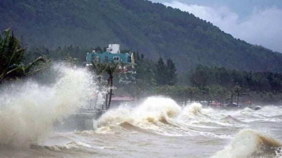 Thời tiết nông vụ ngày 11/6/2025: Áp thấp nhiệt đới gây mưa, biển động mạnh