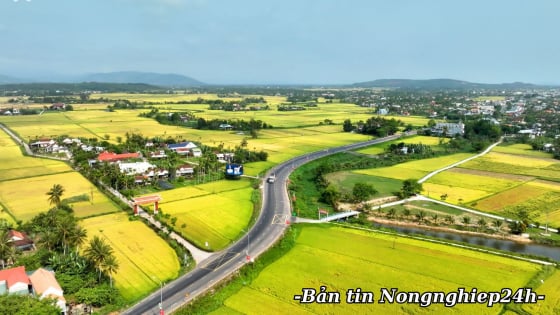 Tổng điều tra nông thôn, nông nghiệp năm 2025 diễn ra trong tháng 7