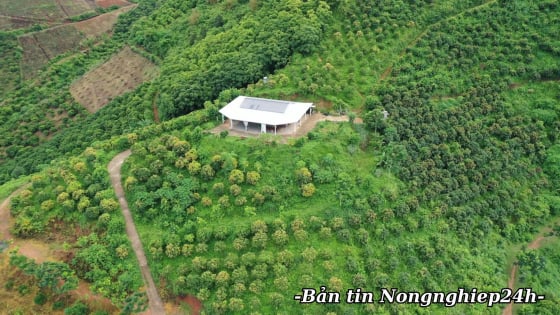 Vùng nguyên liệu đạt chuẩn quyết định khả năng tham gia chuỗi cung ứng toàn cầu
