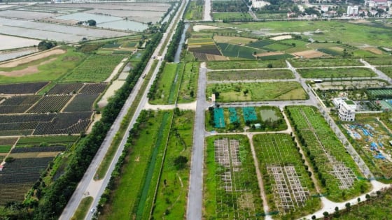 Cục Quản lý đất đai cảnh báo, giá đất sẽ biến động lớn