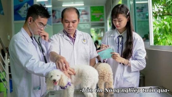 Ngành Thú y quyết liệt đổi mới và chủ động hội nhập