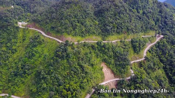 Xác lập định mức kinh tế, kỹ thuật làm căn cứ giao rừng, cho thuê rừng