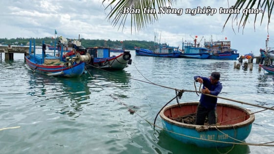 Chính quyền hai cấp vào guồng ứng phó bão số 3