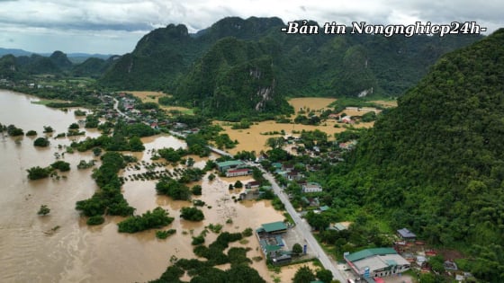 Phòng thủ từ sớm, bình tĩnh ứng phó, chung tay khắc phục hậu quả thiên tai