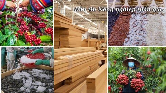 6 tháng đầu năm, nông lâm thủy sản xuất siêu hơn 9,8 tỷ USD