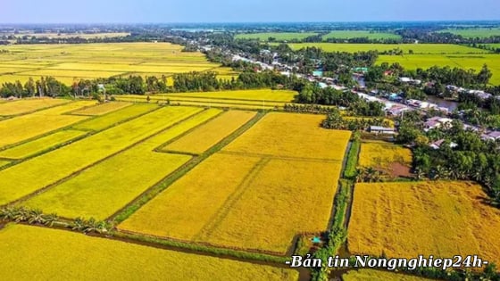 ‘Không giới hạn’ trong trồng trọt giảm phát thải