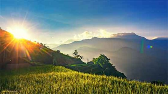 Thời tiết nông vụ ngày 31/7/2025: Phổ biến ngày nắng nóng, chiều tối mưa rào