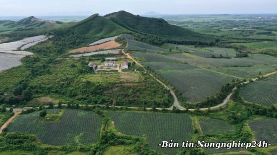 Bắc Trung bộ xây chuỗi giá trị nông sản