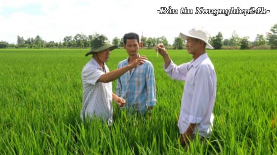 Mở rộng hệ thống khuyến nông, tiếp tục đóng góp cho nông nghiệp bền vững