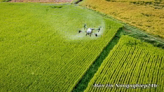Nông nghiệp và Môi trường thống nhất quyết tâm đạt tăng trưởng ngành trên 4%