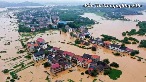 Chủ động ứng phó thiên tai trong 10 ngày tới