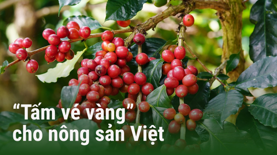 'Tấm vé vàng' cho nông sản Việt: [Bài 1] EU - thị trường tỷ USD còn bỏ ngỏ