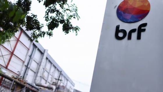 Brazil's BRF dodges bird flu trade disruptions, posts Q2 gains