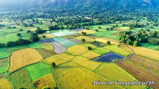 Cải cách, xây dựng nền hành chính công vụ phục vụ người dân và doanh nghiệp