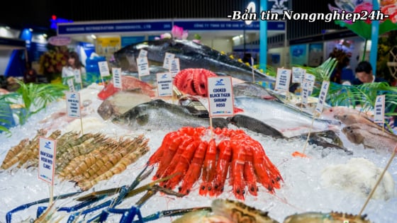 Vietfish 2025 - Cơ hội hợp tác, đổi mới và tăng trưởng