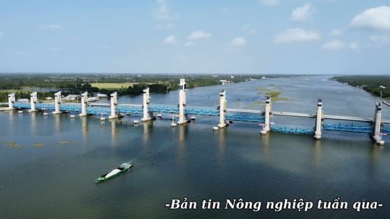 Dấu ấn thủy lợi hiện diện ở mọi nơi, đóng góp cho đất nước phát triển