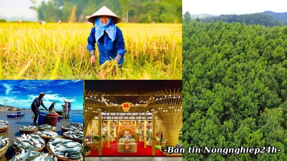 Nông nghiệp – Môi trường ghi dấu ấn trong tháng 8 lịch sử