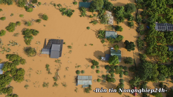 Năm thiên tai bất thường và nỗ lực ứng phó chưa từng có