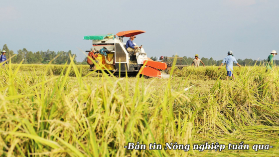 Chủ động kịch bản ứng phó biến động thị trường và chi phí đầu vào