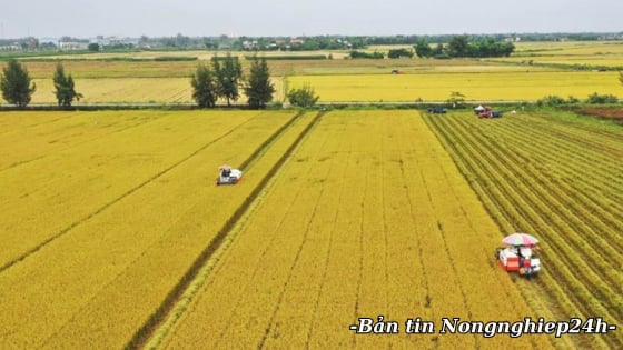 Cải cách thủ tục hành chính đo bằng sự hài lòng của người dân, doanh nghiệp