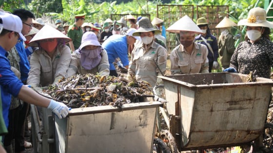 Gần 400 người tham gia hoạt động vì môi trường xanh