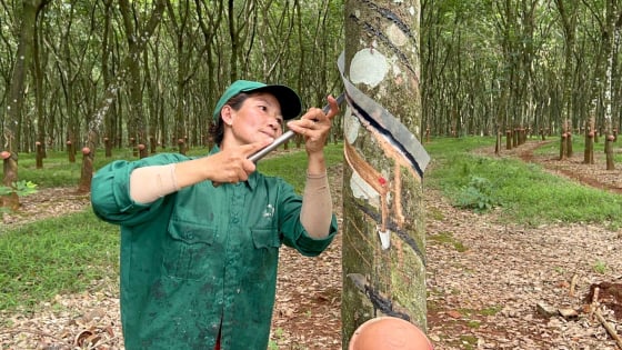 VRG đẩy mạnh chuyển đổi xanh bao trùm và tuần hoàn