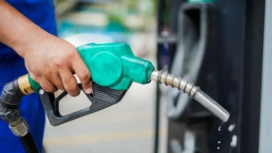 Giá xăng dầu hôm nay 20/8/2025: Hồi phục trở lại