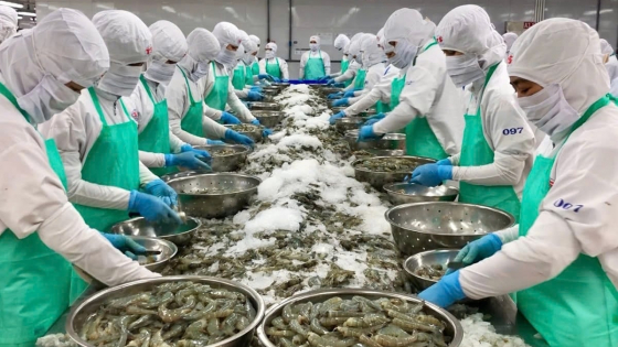 6 tháng đầu năm 2025, xuất khẩu nông, lâm, thủy sản tăng trưởng trên 14%