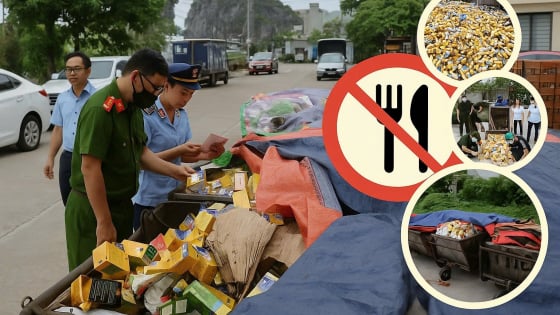 Bản tin môi trường ngày 19/6/2025: Thực phẩm chức năng 'tung tăng’ ngoài bãi rác