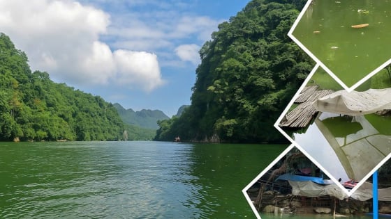 Bản tin môi trường 02/7/2025: Hồ Ba Bể - Viên ngọc xanh 'mong manh’ vì rác