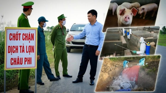 Bản tin môi trường ngày 24/7/2025: Chốt chặn vững vàng, ô nhiễm tiêu tan