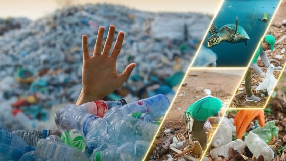 Bản tin môi trường ngày 06/8/2025: Dùng đồ nhựa - Tiện một phút, hại trăm năm