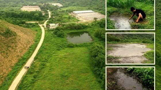 Bản tin môi trường ngày 13/8/2025: Đầm Xanh liệu có còn xanh?