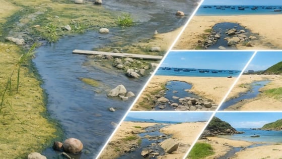 Bản tin môi trường ngày 08/9/2025: Biển một bên và ô nhiễm kề bên