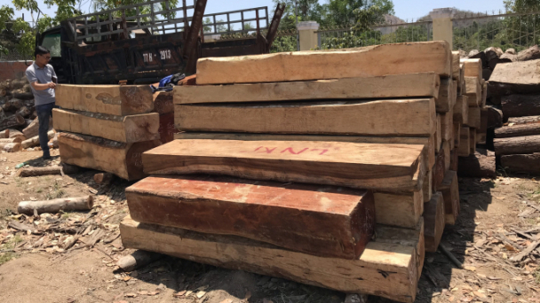 Hơn 1.000 'lâm tặc' tập trung tại 1 huyện ở Gia Lai