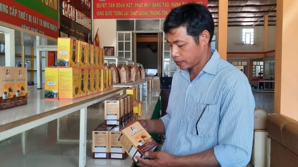Hợp tác xã kiểu mẫu sản xuất cà phê theo chuỗi khép kín