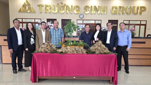 Trường Sinh Group bắt tay đối tác xây dựng hệ sinh thái sâm Ngọc Linh
