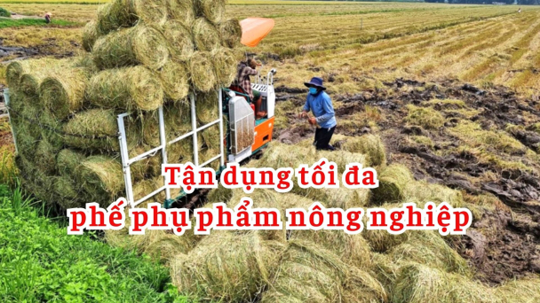 Tận dụng tối đa phế phụ phẩm nông nghiệp