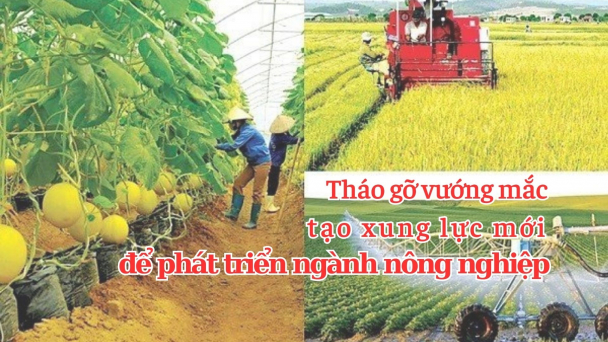 Tháo gỡ vướng mắc, tạo xung lực mới để phát triển ngành nông nghiệp