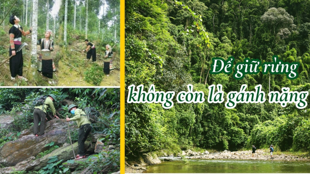 Để giữ rừng không còn là gánh nặng